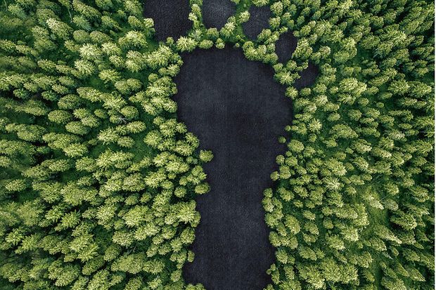 Aerial concept idea showing a carbon footprint in a forest, United States of America