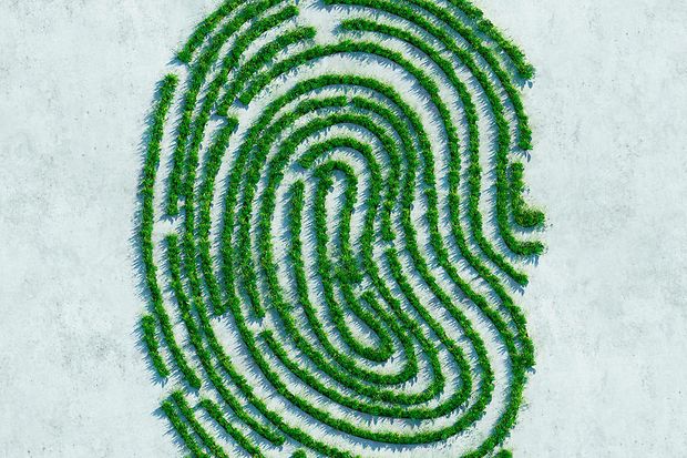 Digital generiertes Bild eines Fingerabdrucks aus Gras